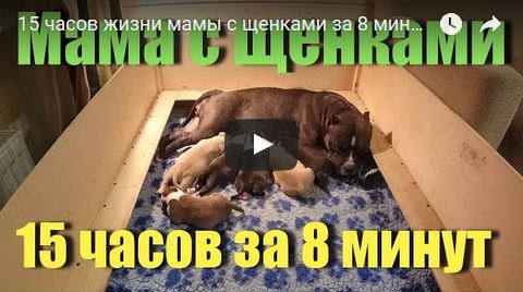 Снимок23